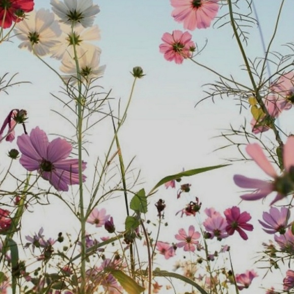 Meet your Posher, Erin - Picture 1 of 1